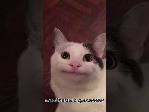 Из за чего