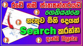 DuckDuckGo safe? 🔥 Sri Lanka records World Rank #01 from searching SEX in Google Search Engines