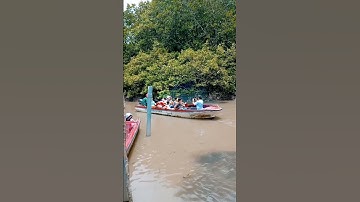 Thăm Chiến khu rừng Sác, Cần Giờ