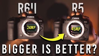 Canon R5 VS R6ii Review: Worth it in 2024?