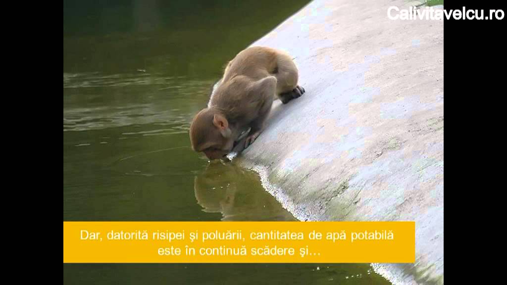 Apa Saracita In Deuteriu Low Deuterium Calivita Youtube