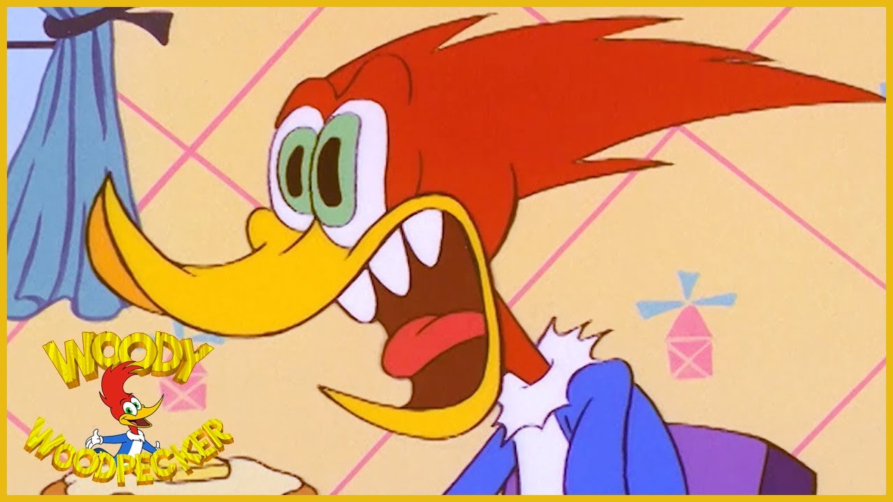 Woody Woodpecker Show Woody S Roomate 1 Hour Compilation Videos For Kids Youtube Woody Woodpecker Show Woody S Roomate 1 Hour Compilation Videos For Kids Youtube