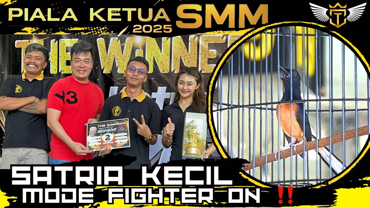Murai Batu SATRIA KECIL Meraih Dua Kali Kemenangan Di Gelaran Piala Ketua SMM 2025‼️