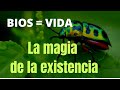 BIOS = VIDA: La magia de la existencia