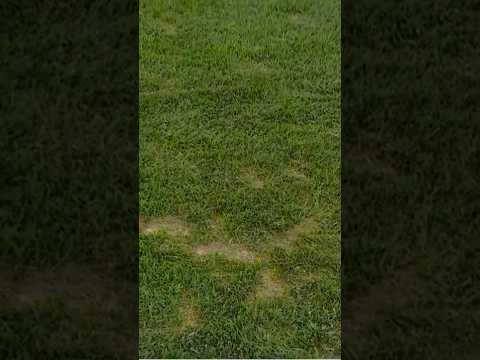 Up close and personal 🔍