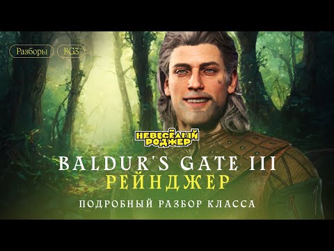 Baldur's Gate 3 - да это же Рейнджер! | Подробный разбор класса!