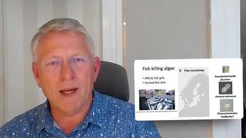 Global HAB Status Report: Northern Europe