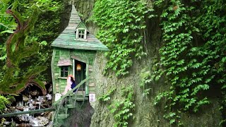 Relax with Nature sounds in the forest,  mossy shack attached to mountainside, spring water dripping