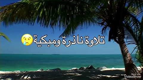 تلاوة مبكية للشيخ حمزة درويش أبو الهيثم