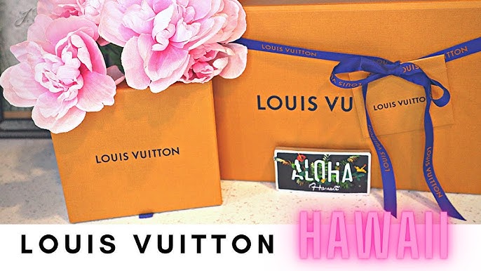 Louis Vuitton Bumper Pallas iPhone 13 Pro Case