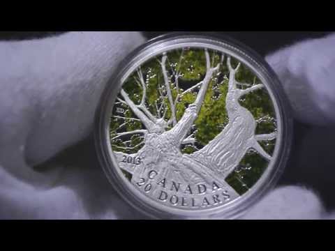 2013 Canada $20 Canadian Maple Canopy (Spring) Silver Coin