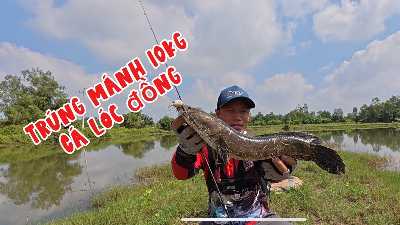 Trúng Mánh 10kg Cá Lóc, Câu Lure Tại Mỹ Xuyên Sóc Trăng