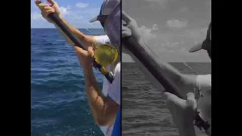 Salt water fishing in Galveston Texas