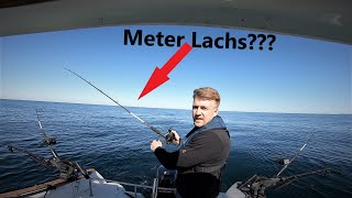 SOLO LACHS TROLLING vor Rügen vom Kleinboot I Ob das klappt???