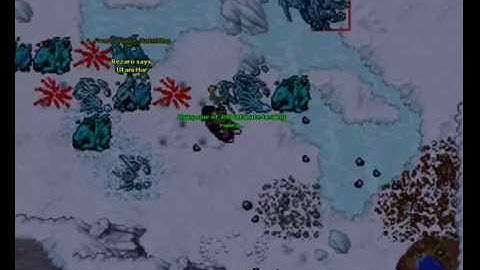 Tibia Hunting [Watch IN HIGH QUALITY]