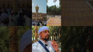 Ajwa Dates #health #allah #makkah #madina #quran #hajj #reels #shorts #waz #umrah #islamic