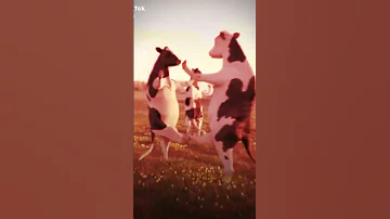 فطومه طومه طومه 