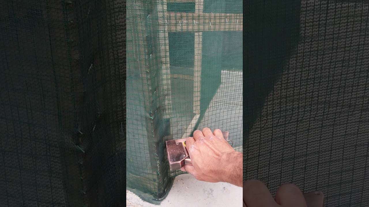 معلومات مفيدة حول قفص البلابل