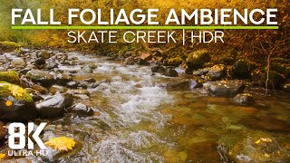 Autumn Ambience of the Forest River in Skate Creek Road Area - Fall Foliage Colors in 8K HDR