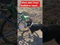 HUND JAGD FAHRRAD 😱 #hundetraining
