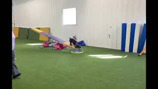 Whip’s Teeter Progression- April 6-2023