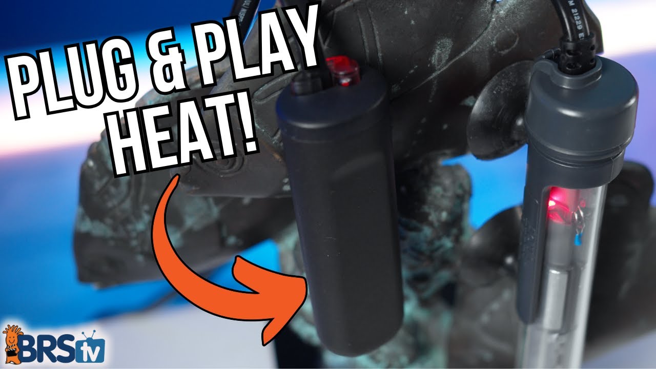 Curated visual reference: Picture Idea: Plug Play Aquarium Heaters For Any Reef Tank