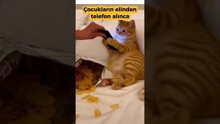 Sinir Seviyesi Bile Aynı