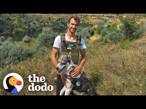 Hero Rescues Dog From Destroyed Russian Tank Field | The Dodo Heroes