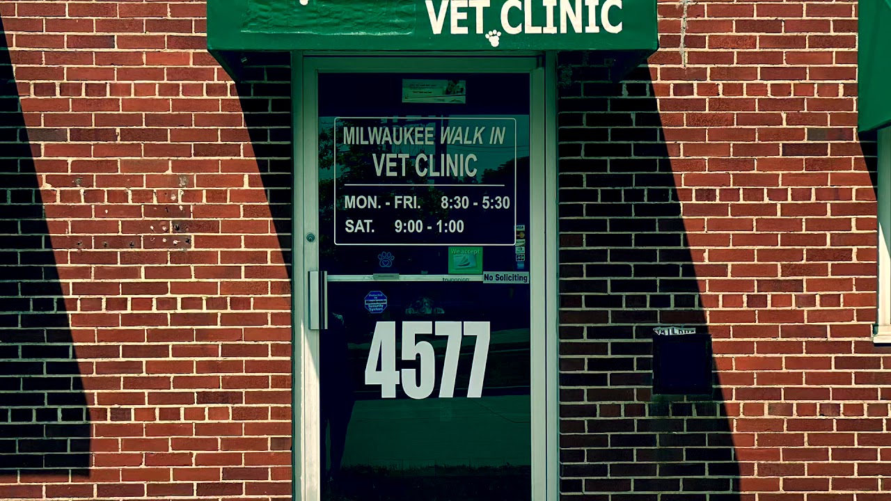Milwaukee Walk in Vet Clinic YouTube Milwaukee Walk in Vet Clinic YouTube