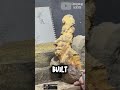 The Secret Power of Different Woods