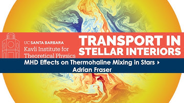 MHD Effects on Thermohaline Mixing in Stars ▸ Adrian Fraser #TRANSTAR-C21