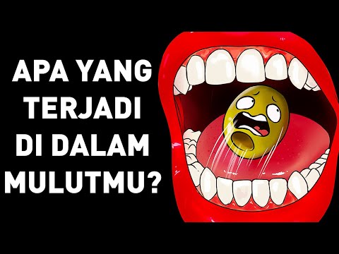 Video: Apa Itu Dari Mulut Ke Mulut?