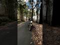 #royalenfield #bikelover 🍭#shortvideo