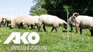 Titanlight Net - Sheep Netting , 27352