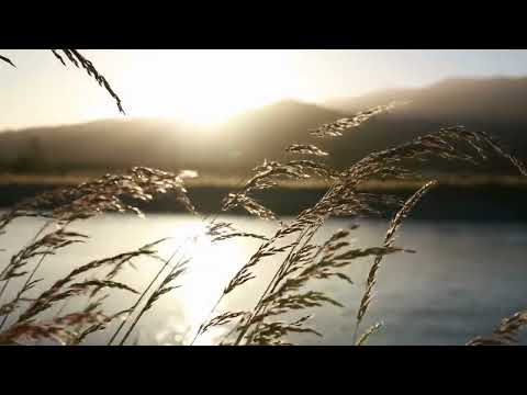 Relaxing Music