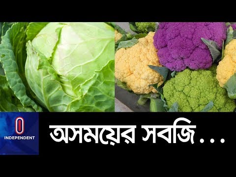 ভিডিও: কিভাবে শীতের জন্য ফসল কাটা Beets প্রস্তুত