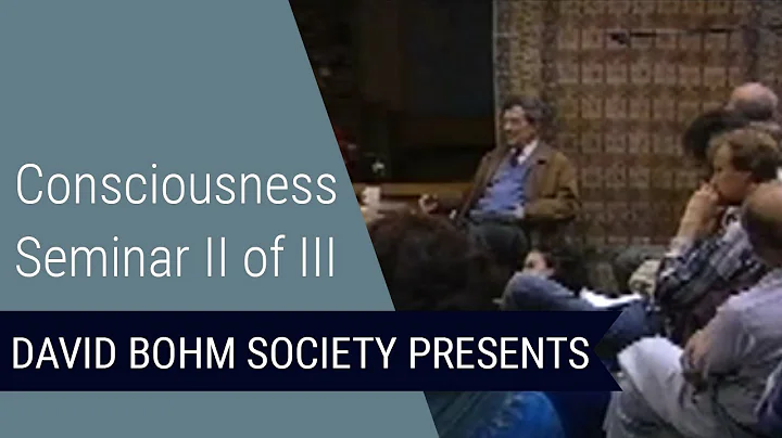 Bohm Consciousness Seminar (Sunday Afternoon 1)