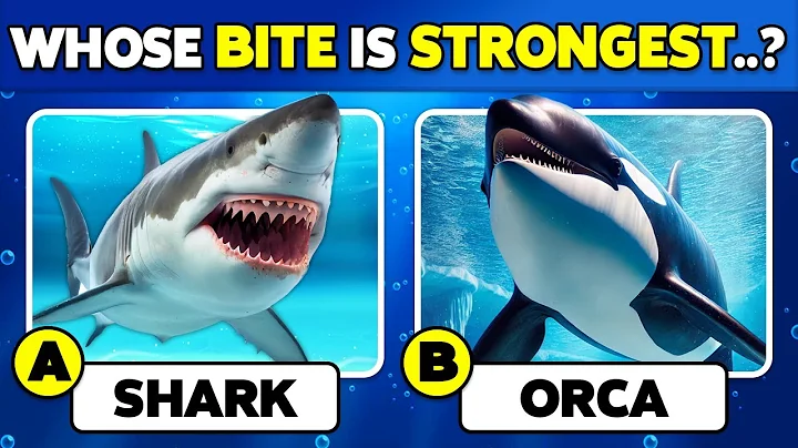 🧠 How Well Do You Know SEA Animals?🐳🐠✅ General Knowledge Trivia Quiz