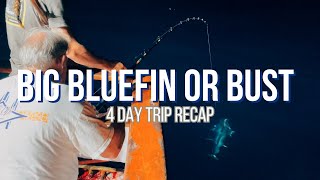 Big Bluefin or Bust Charter - 4 day trip recap