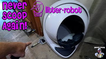This Automatic Litter Box Means NO MORE SCOOPING! Litter Robot 3 Connect