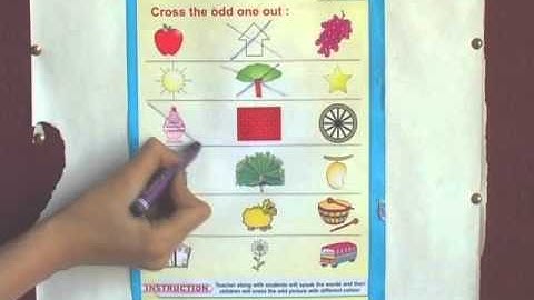 Cross the odd one out ( page - 88 )