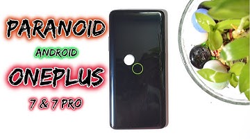 Official Paranoid Android (Android 10) For Oneplus 7 and 7Pro with Horizon Light