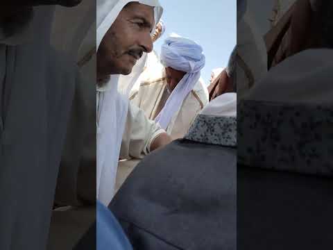 مدح غريب عمار بن بشير علي بالمولدي في امي هندا الفوار