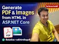 Generate PDF &amp; Images from HTML in ASP.NET Core using Rotativa + wkhtmltopdf | No Server Install