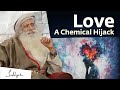 Love - A Chemical Hijack | Sadhguru