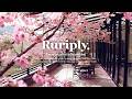 2026 Cherry Blossom Vibe Vol 12 Spring Cafe Playlist For Fluttery Feel Good Moments Ruriply 