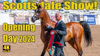 Scottsdale Arabian Horse Show Opening Day 2024