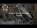 Natural History Museum: Art Fund Museum of the Year 2023 Finalist