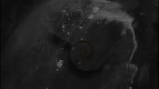 Katyusha / Катюша - Piano & Cello