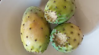 السعرات في التين الشوكي او الصبر calories in prickly pear